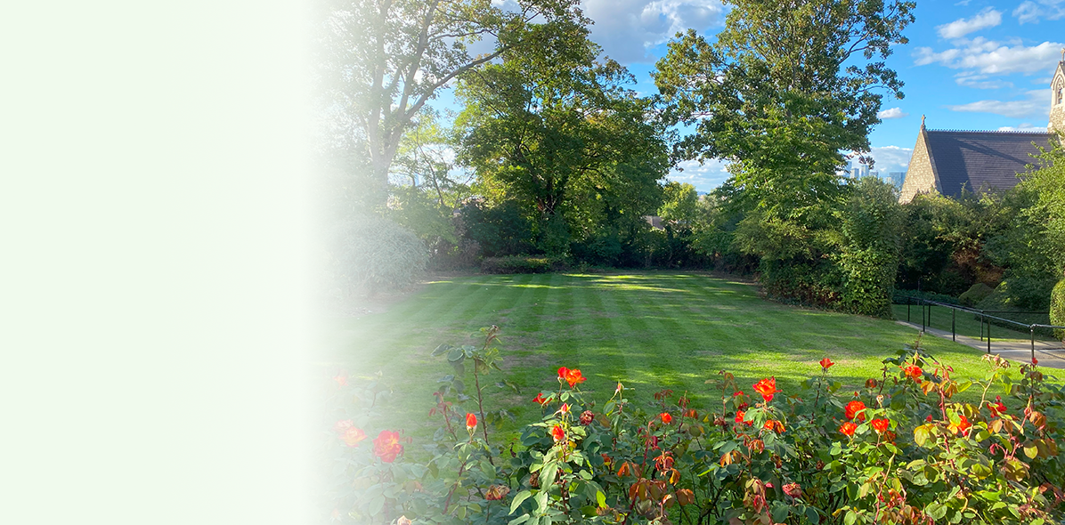 Professional Garden Maintenance London