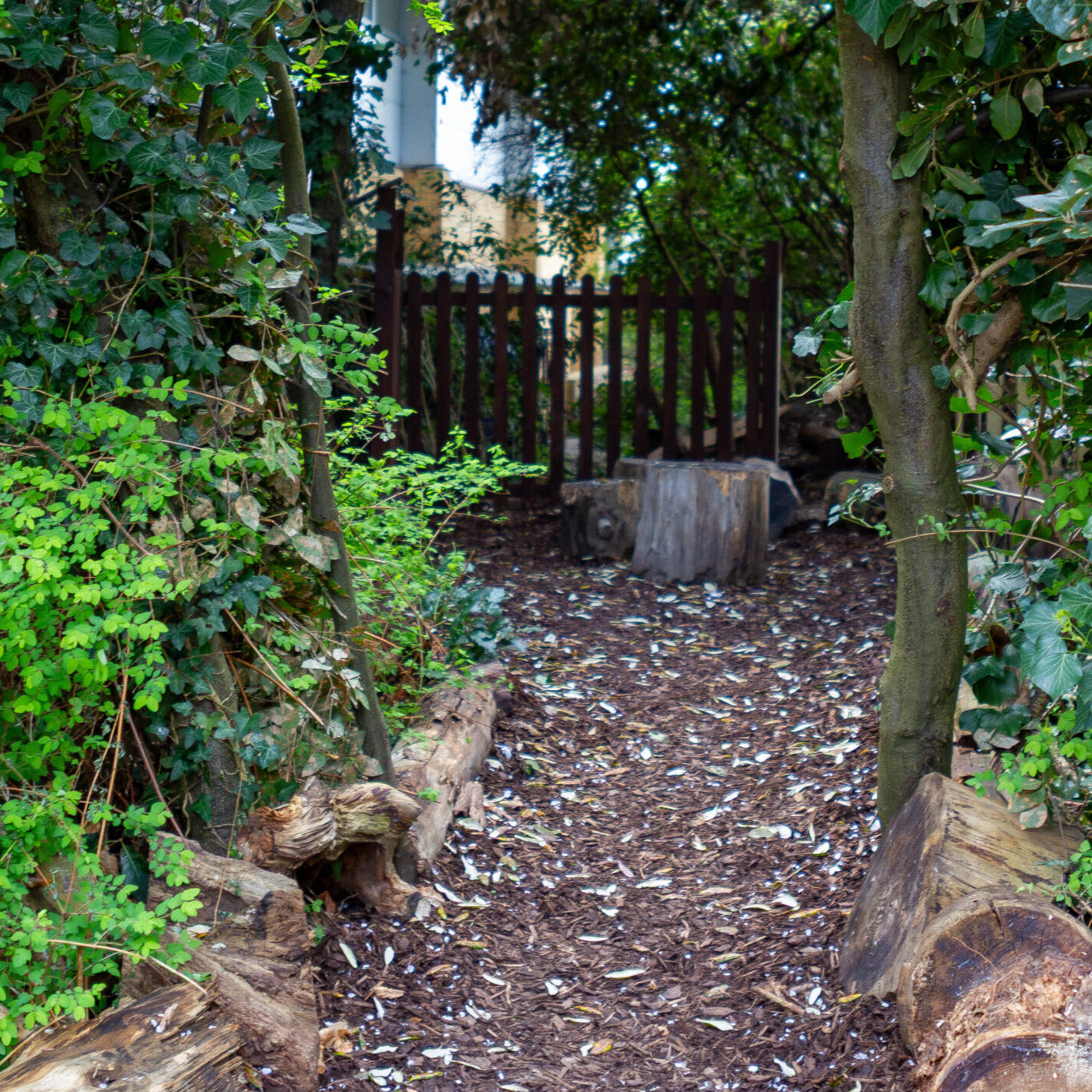 Forest school pathway